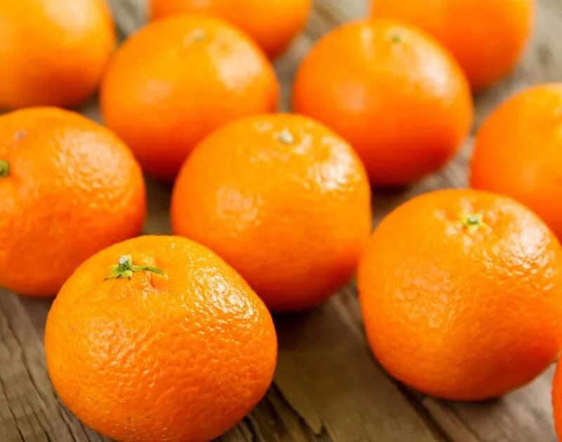 плантации мандаринов в марокко. мандарины марокко. мандарины марокко откуда. плантации цитрусовых в марокко. мандариновые деревья в марокко.