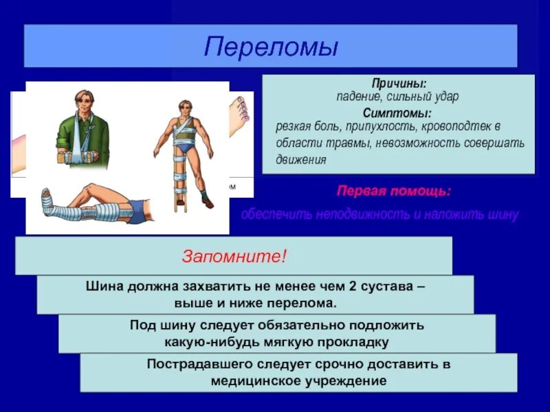 При переломах транспортная шина должна захватывать. Транспортная шина должна захватить 3 сустава при переломах.