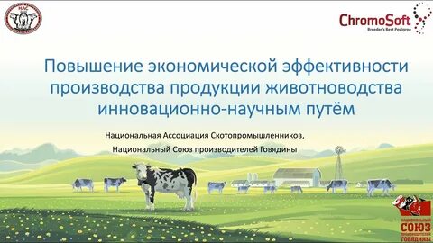 Эффективность производства животноводства