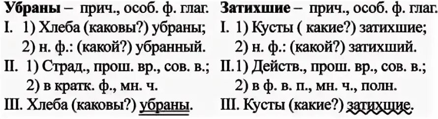 Русский язык седьмой класс первая часть ладыженская. Разбор причастия два письменно. Русский язык 7 класс. Русский язык 7 класс ладыженская упражнение 152. Письменный морфологический разбор причастия.