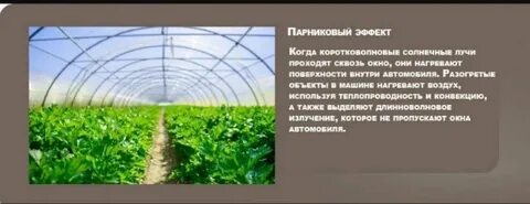 Значение росло