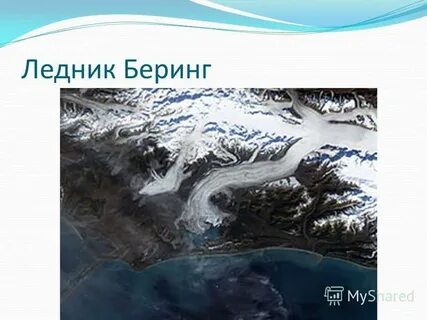 Ледник беринга штат