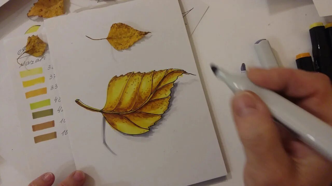 Скетчинг листья. Рисование в технике скетчинг для детей. Скетчинг для начинающих пошагово. Скетчинг листы пошагово.