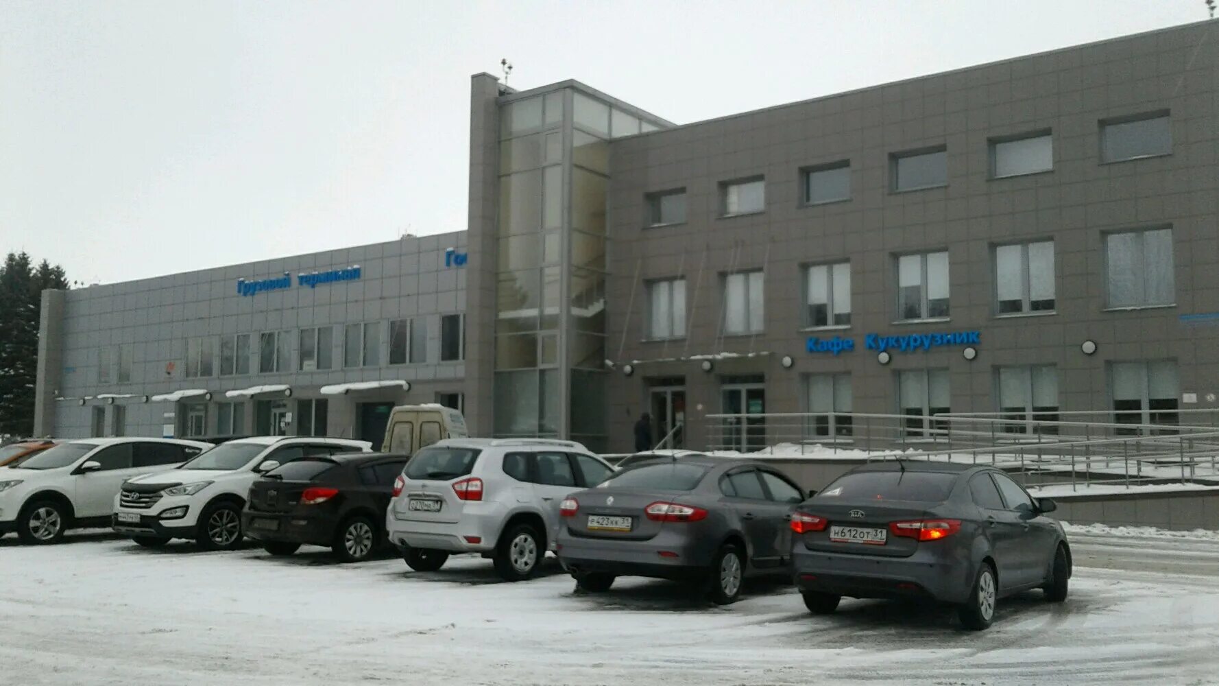 Львы белогорья белгородский просп 75 белгород фото ВК Белогорье ВКонтакте