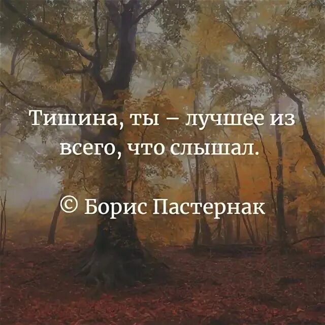 Тишина это лучшее что я слышал. Пастернак тишина. Цитаты про тишину и природу. Тишина ты лучшее из всего что я слышал.