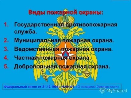 Виды служб пожарной охраны