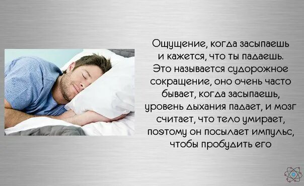Сон человека. Причина резкого падения во сне. Почему падаешь во сне и просыпаешься. Почему человек во сне. Но почему это только во сне