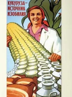 Кукурузная лихорадка