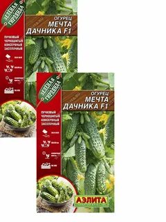 Огурцы мечта дачника