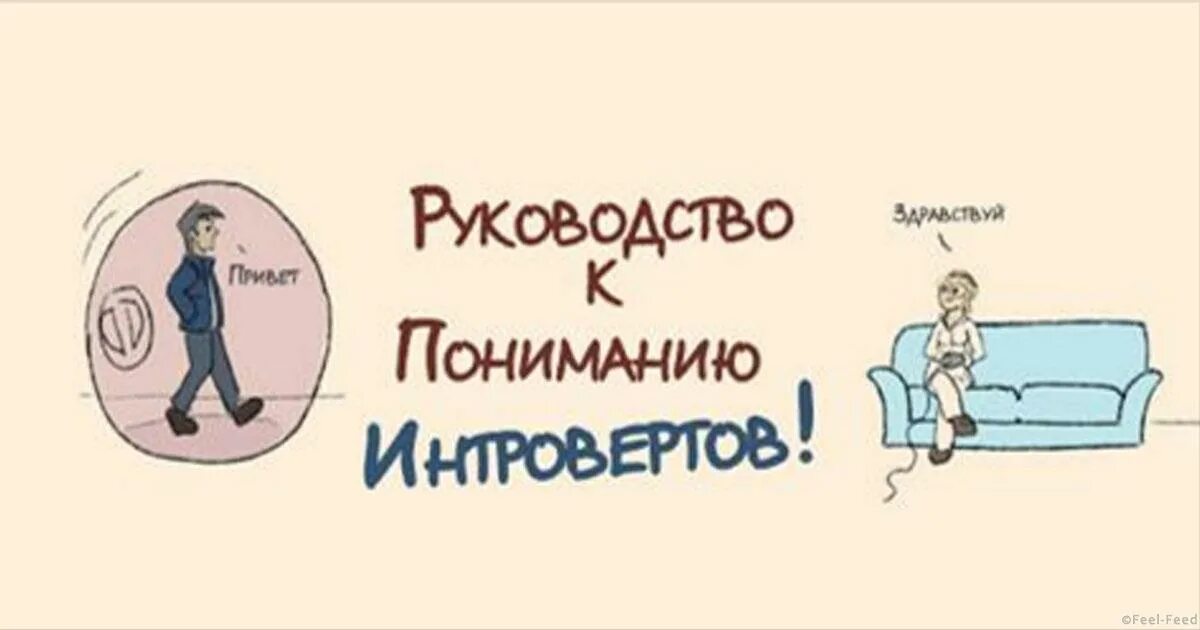 Руководство к пониманию интровертов. Интроверт картинки. Типичный вечер интроверта. Интроверт рисунок.