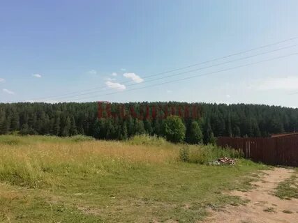Лес м3