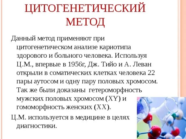 Значение работ Тийо и Левана в установлении числа хромосом у человека. Год открытия цитогенетического метода. Значение работ Тийо и Левана.