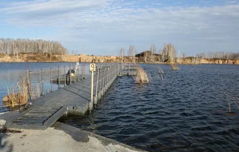 Золотая рыбка кременкуль