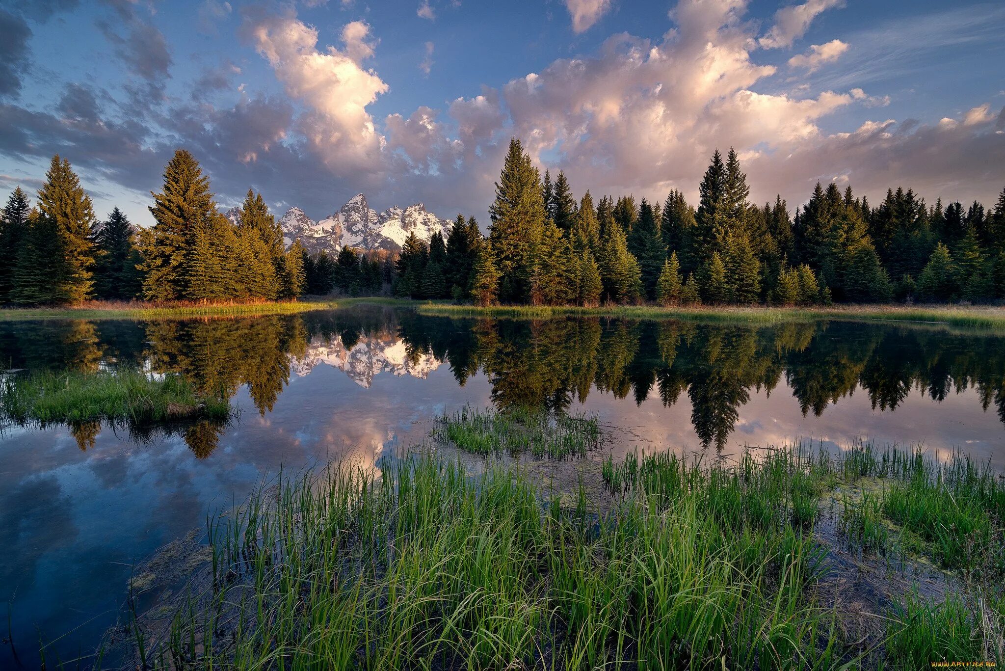 Озеро Мадалаярви. Лесное (озеро, Северная Америка). Лесное озеро (Forest Lake). Фотоискусство пейзаж.