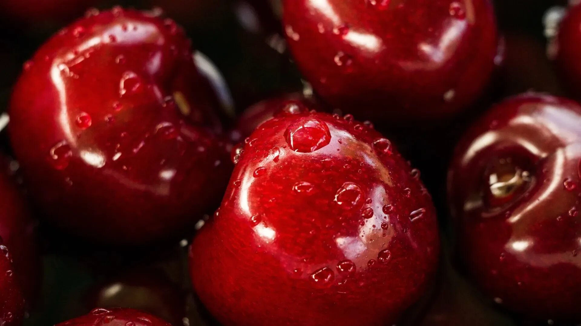 Дали вишня. Вишня &quot;red cherry&quot;. вишня драгоценный кармин. красные ягоды. вишня эстетика.