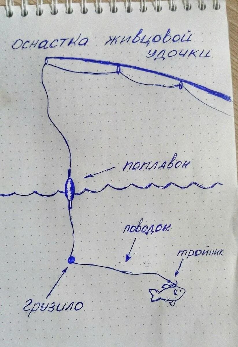 Поплавочная удочка на щуку. Поплавочная оснастка на щуку на живца. Щука на поплавок на живца оснастка. Снасть на щуку на живца с поплавком. Оснастка для ловли щуки на живца с поплавком с берега.