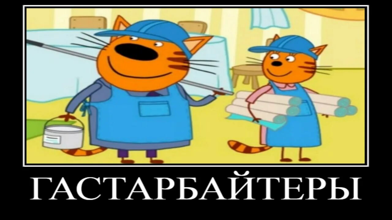 Смешные мемы 3 кота Pin on Gatos!