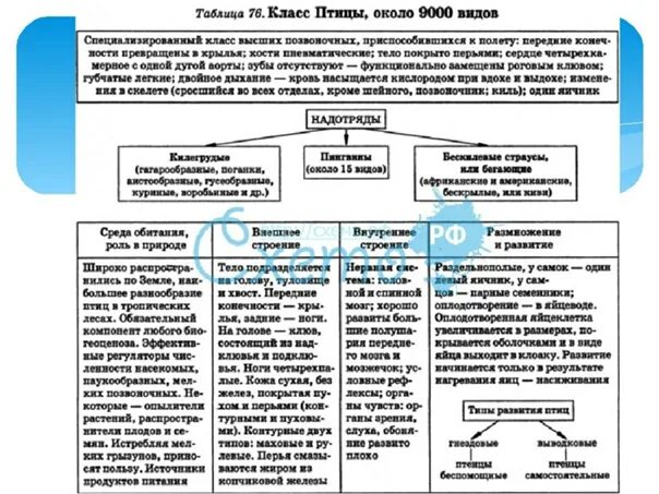 Класс Птицы - наглядное пособие - Корпорация Российский учебник (издательство Др