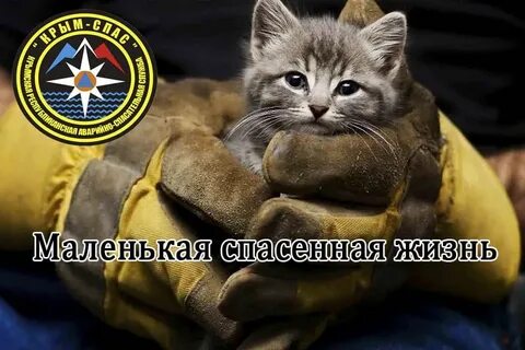 Спасти маленькую жизнь