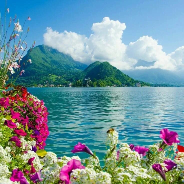 Красивая природа. Лето природа. Красивый пруд. Красивая природа лето. Природа.