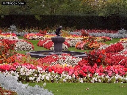 Mary s garden