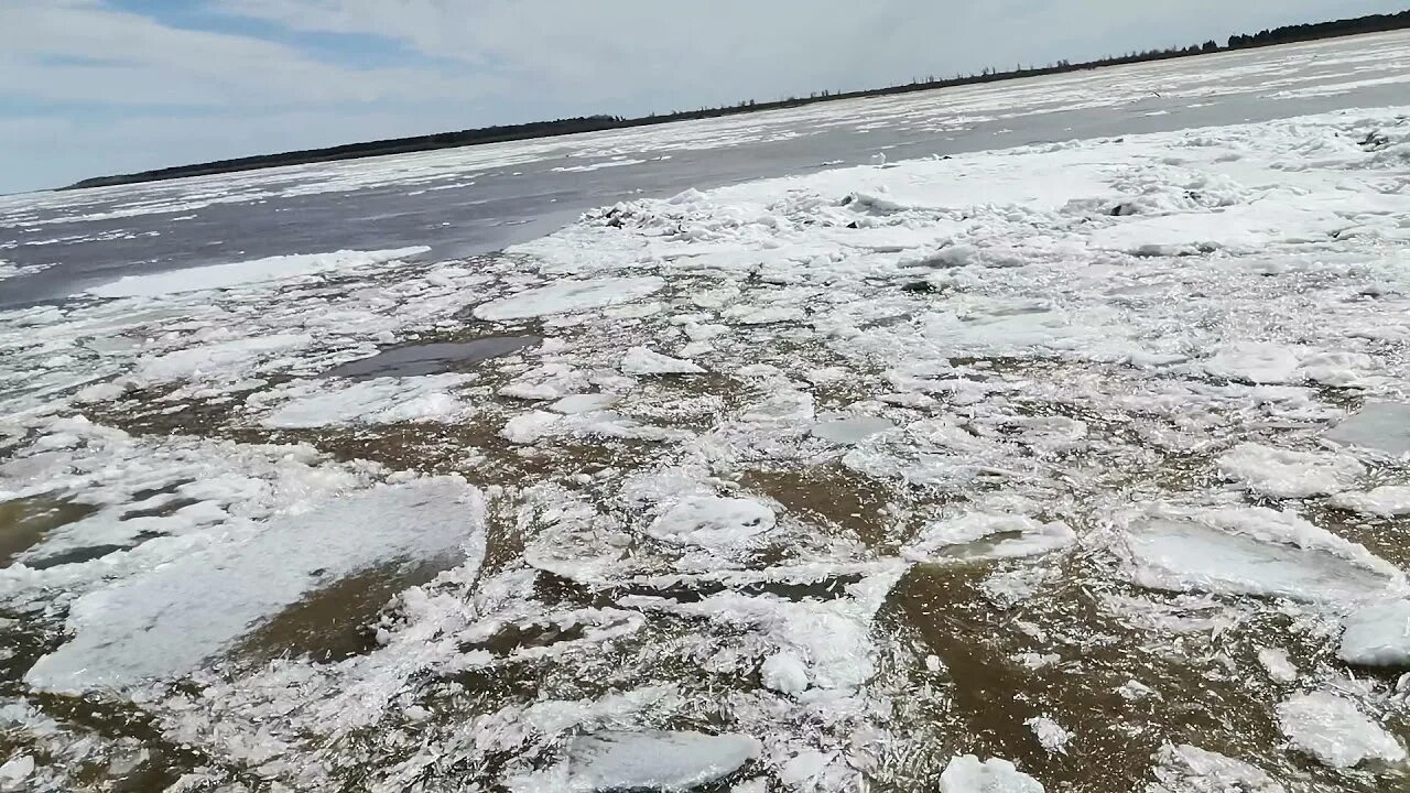 Сургут обь вода. Ледоход на Оби 2022. Ледоход Сургут. Река Обь Сургут лед. Ледоход Обь.