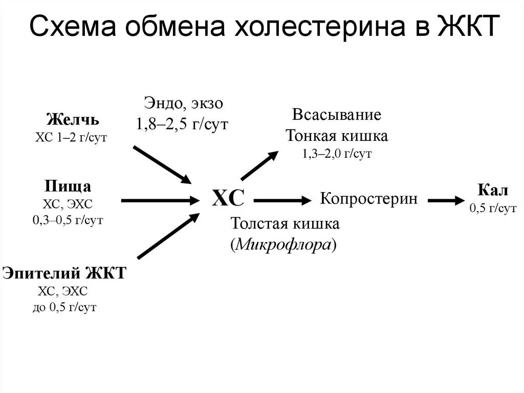 Схема путей утилизации холестерола. Метаболизм холестерина схема. Обмен холестерина в организме человека биохимия схема. Схема обмена холестерола. Спасис обмена