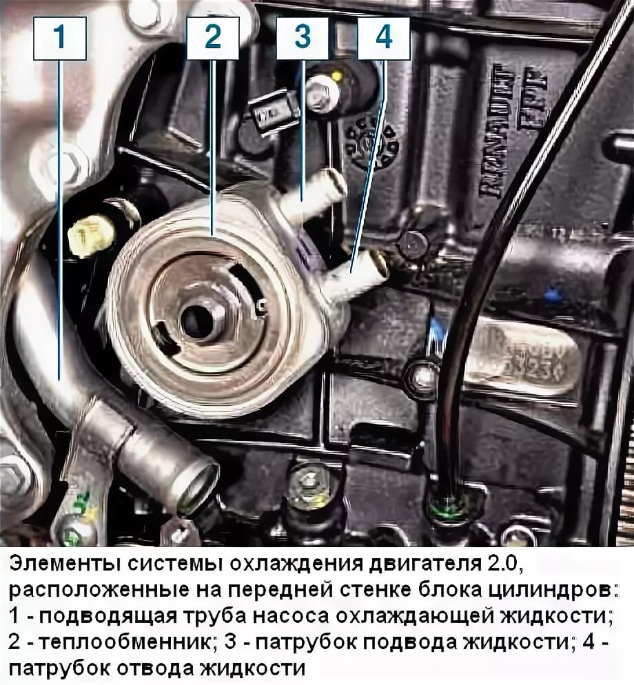Рено дастер система охлаждения двигателя. Теплообменник рено дастер 2.0. система охлаждения на дастер 2 л. теплообменник акпп рено дастер 2.0. рено дастер теплообменник акпп.