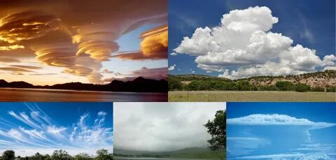 Weather kinds