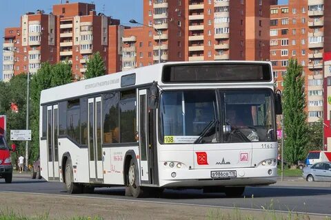 162 автобус спб