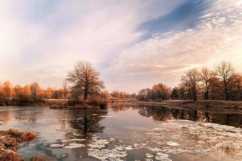Ноябрьская природа картинки красивые
