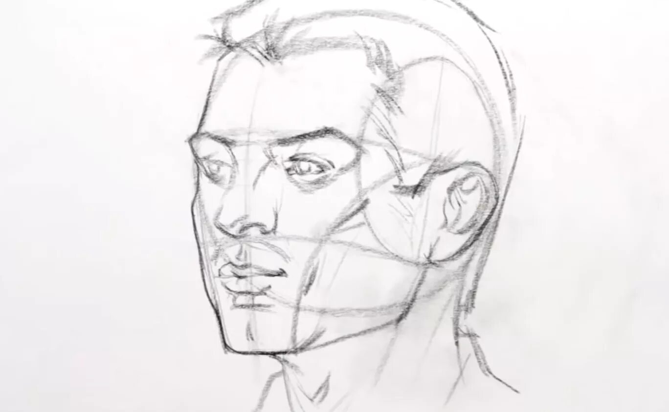 Конструкция головы человека в пространстве. Портрет в ракурсе. Пропорции головы микеланджело. Портрет 3/4. Портрет человека в ракурсе.