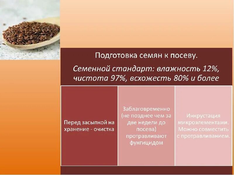 Посев семян определение. Подготовка семян к посеву. технология подготовки семян к посеву. схема подготовки семян к посеву. подготовка зерна к посеву.
