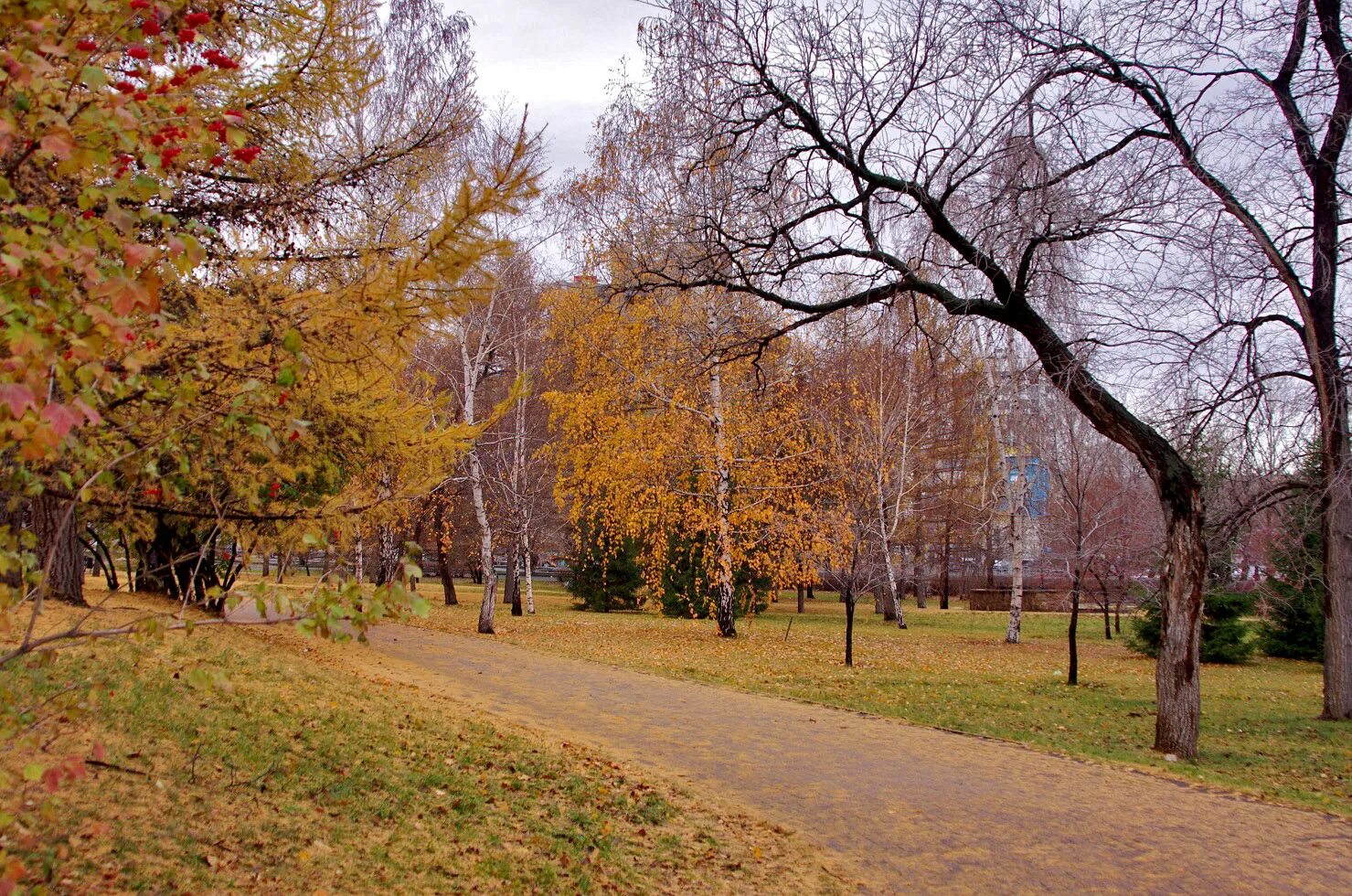 Октября челябинск. Челябинск в октябре. Алое поле Челябинск осень. Природа в октябре Челябинск. Челябинск в октябре фото.