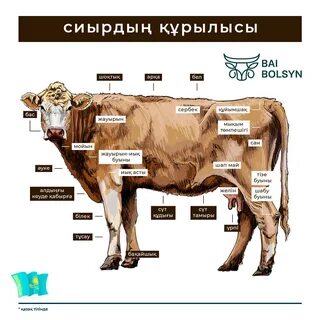 Порно жұлдыздарға арналған тренинг