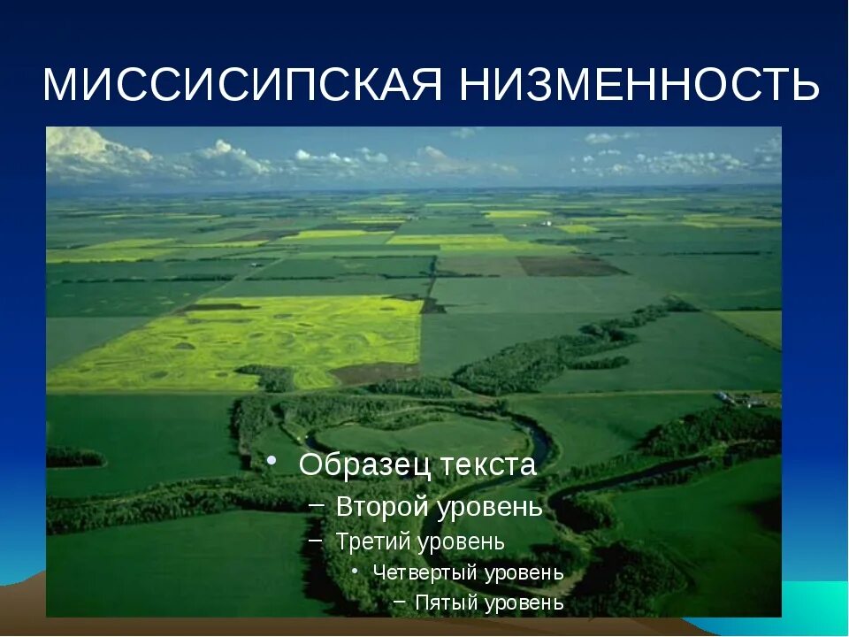 Рельеф миссисипской низменности в Северной Америке. Миссисипская равнина в Северной Америке. Миссисипская низменность на карте Северной Америки. Примексиканская низменность Северной Америки. Низменность расположенная ниже уровня моря называется