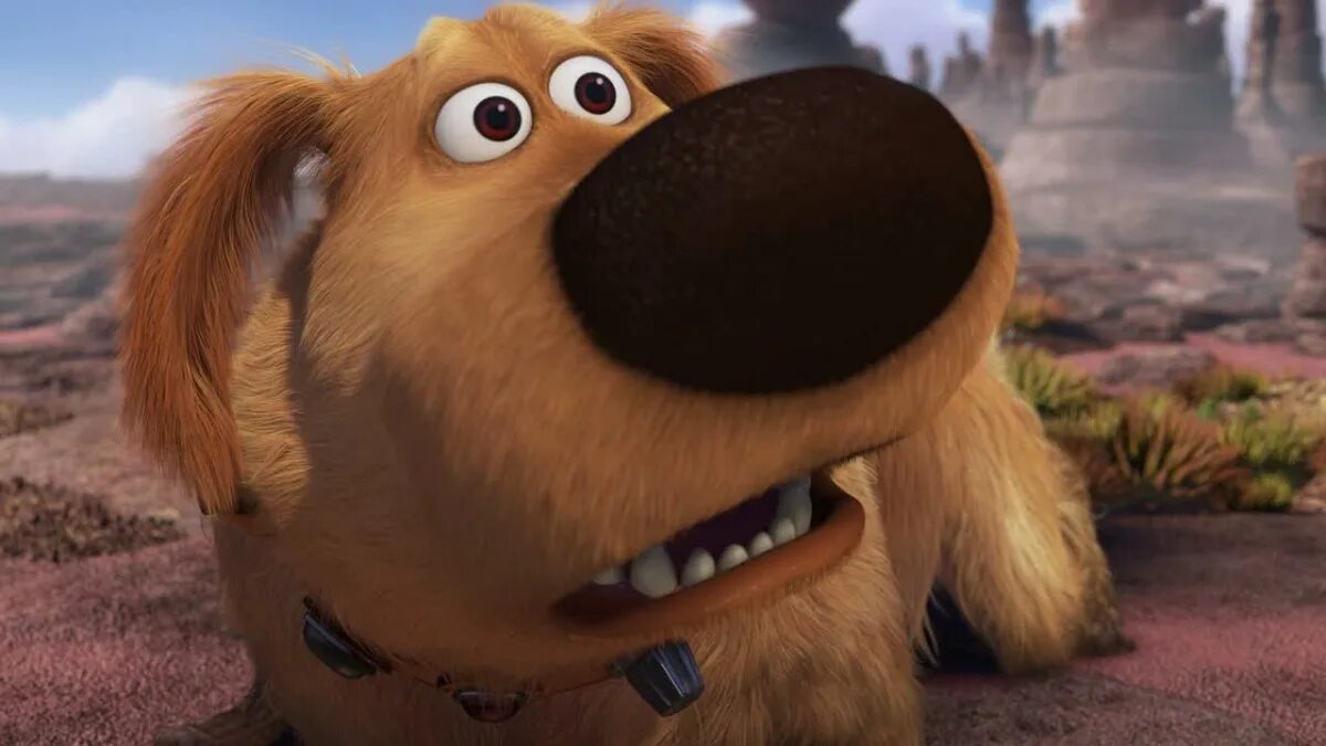 Save life dug. Фредриксон мистер вверх. Вверх собака. Dog look left for eat. Боб собака фото.