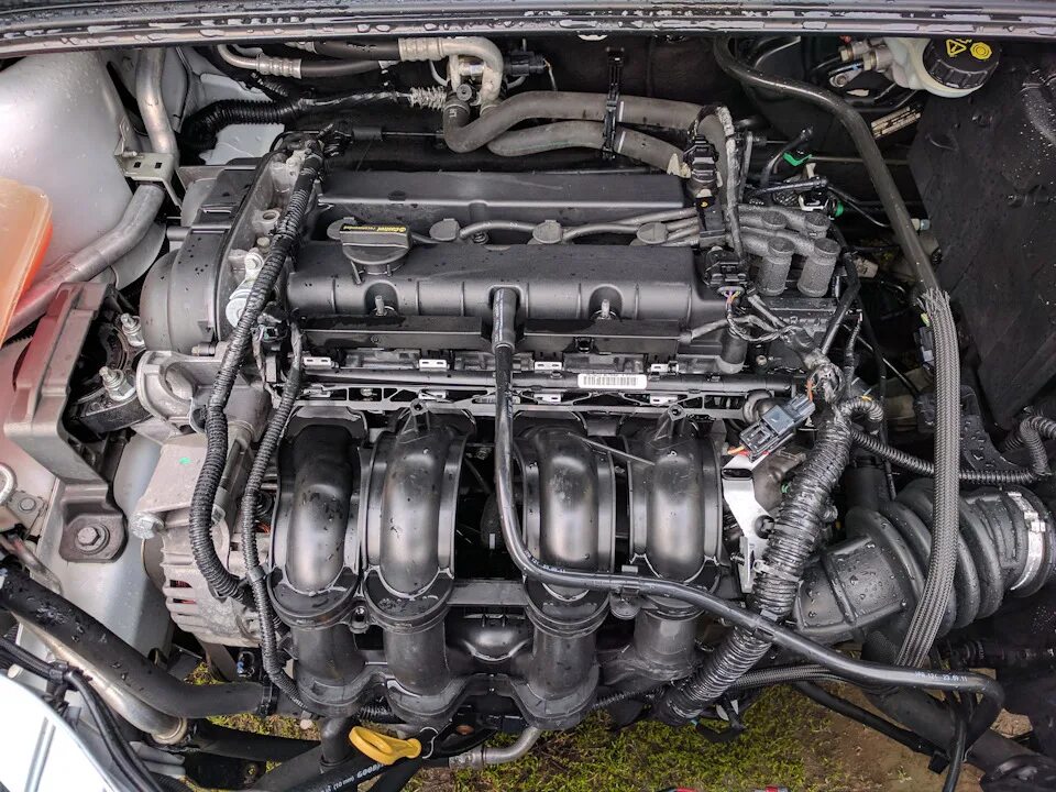 1.3 литра двигатель. ДВС Форд фокус 2 2.0. Двигатель Форд фокус 3 1.6 105. Ford Focus 2 1.4 двигатель. Двигатель Форд фокус 2 1.6 115.