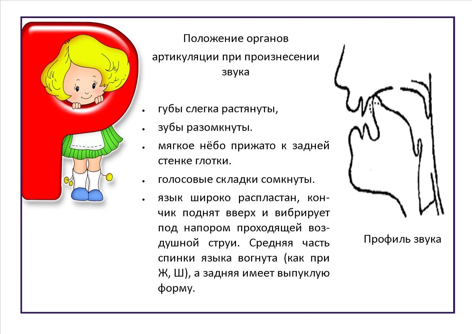 Система артикуляции. Положение органов артикуляции при произнесении звука р. Звук с положение органов артикуляции. Положение органов артикуляции при произнесении звука с. Звук р артикуляция звука.