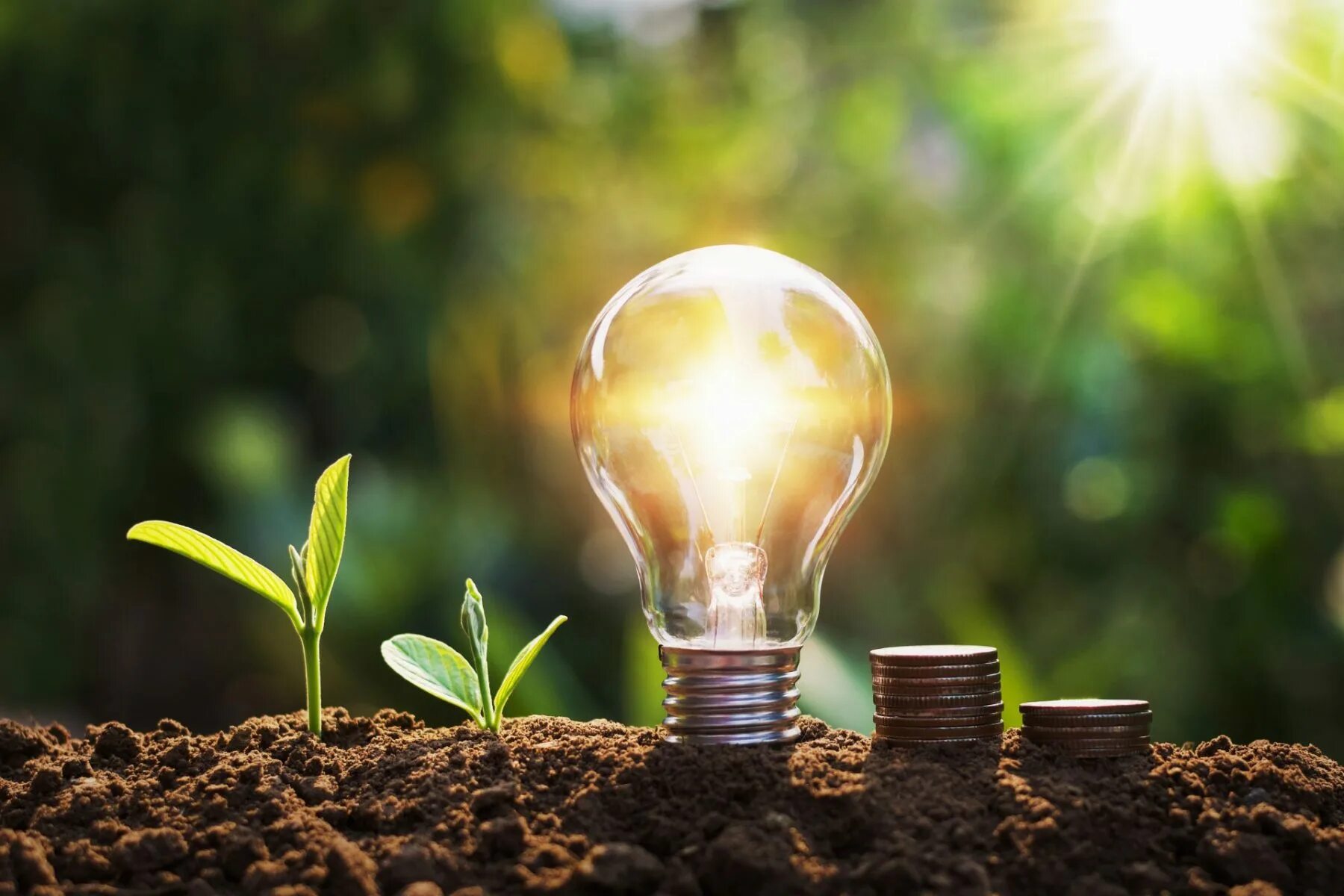 Save nergy. Советы электрика. energiesparen. ways to save energy.