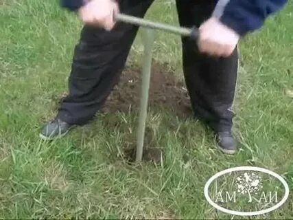 Буру видео
