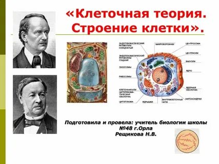 Клеточная теория строения организмов вирусы 9
