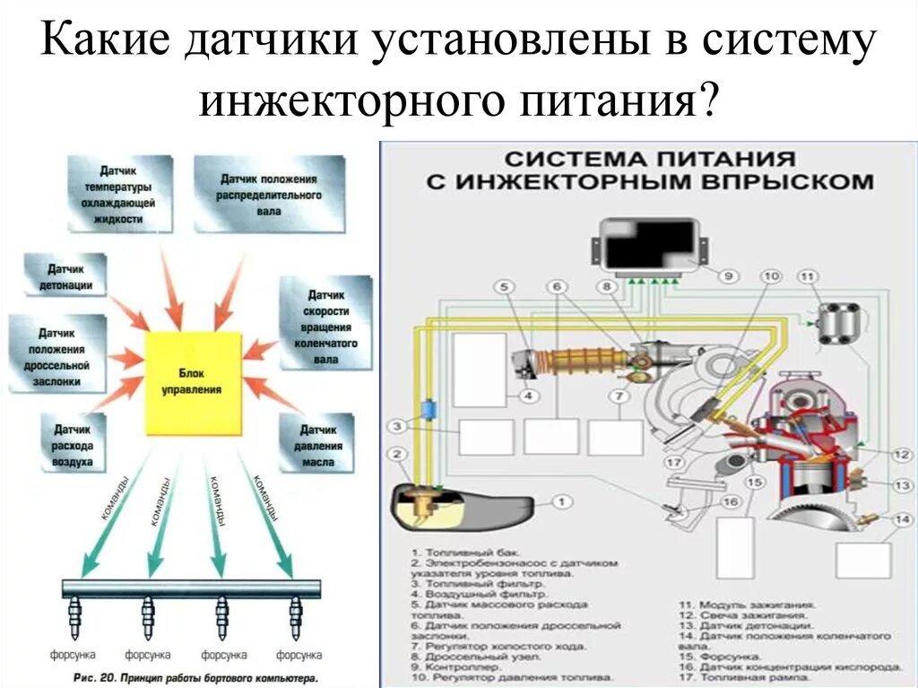 Принцип работы датчиков автомобиля. Датчики системы питания инжекторного двигателя. Система датчиков инжекторных двигателей. Инжекторная система автомобиля. Схема электронной системы управления двигателем.