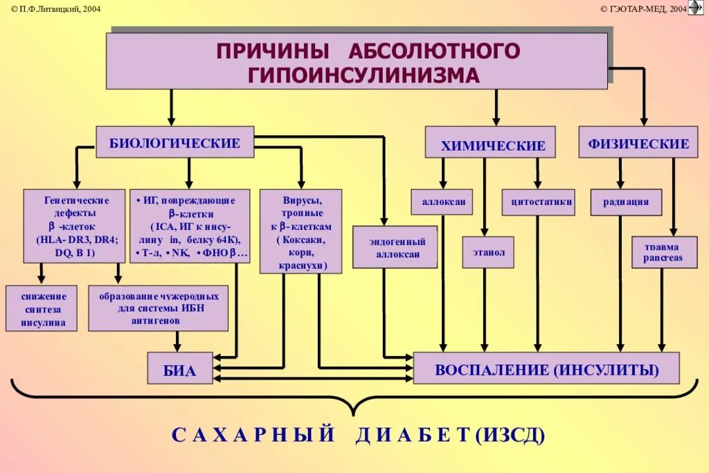 Нарушение обмена веществ при сахарном диабете. Болезни связанные с нарушением обмена углеводов. врожденные нарушения обмена углеводов. врожденные патологии углеводного обмена. типовые формы нарушения углеводного обмена.