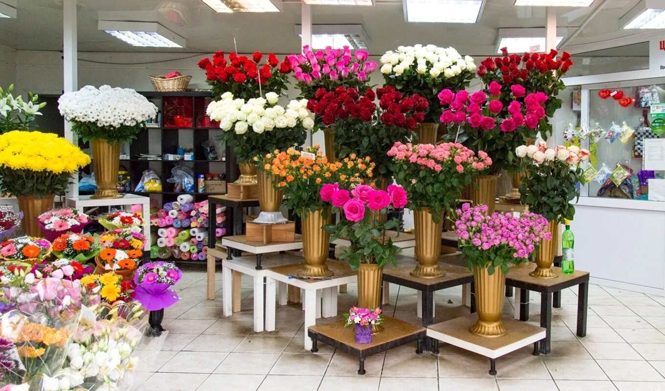 Живо живо магазин спб. Цветы в цветочном магазине. Цветы магазинные. Розы в цветочном магазине. Цветочный бизнес.