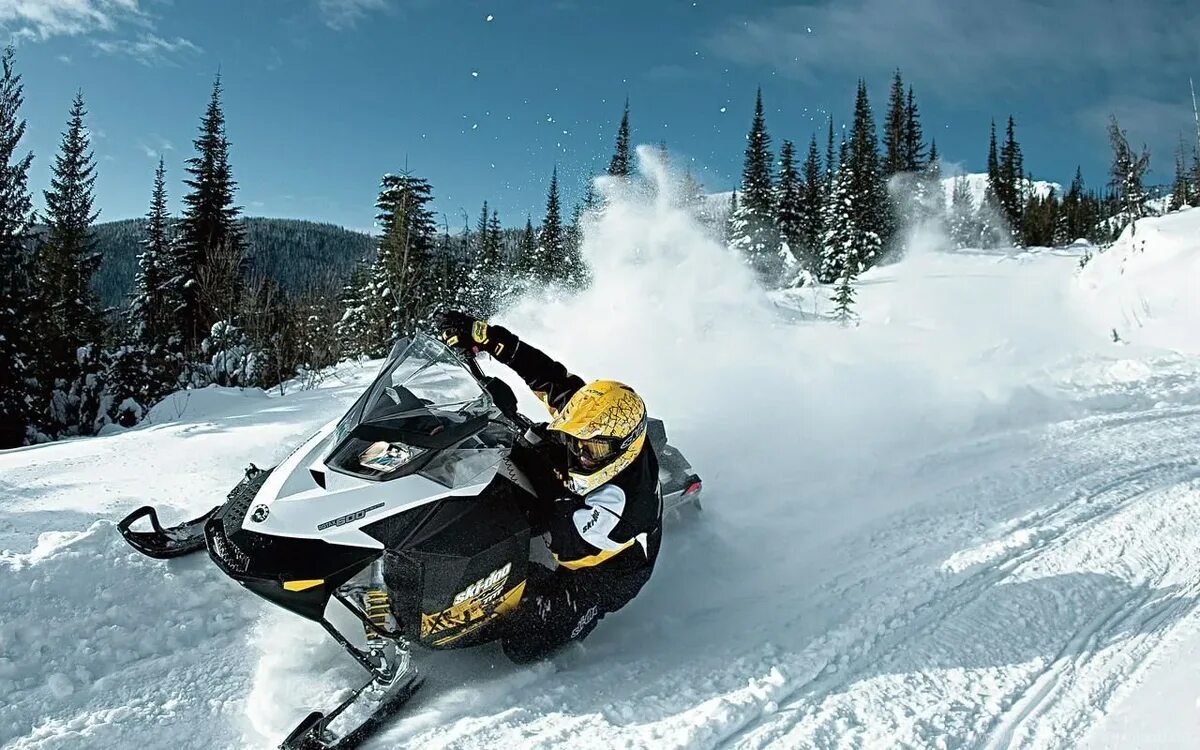 Snowmobile ru снегоходный. Горный снегоход BRP. Ski-Doo 750. Горный снегоход Ski Doo. Снегоход БРП горный 2022.