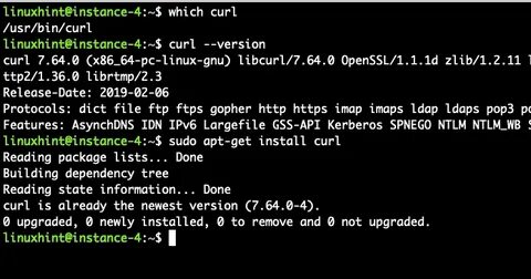 Curl file
