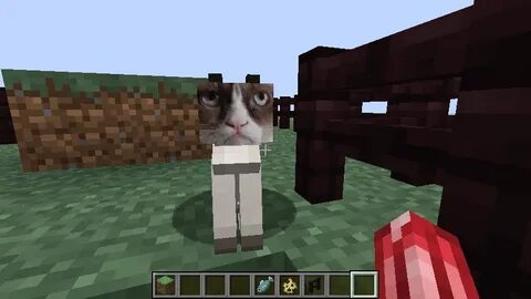 Игра кот майнкрафт