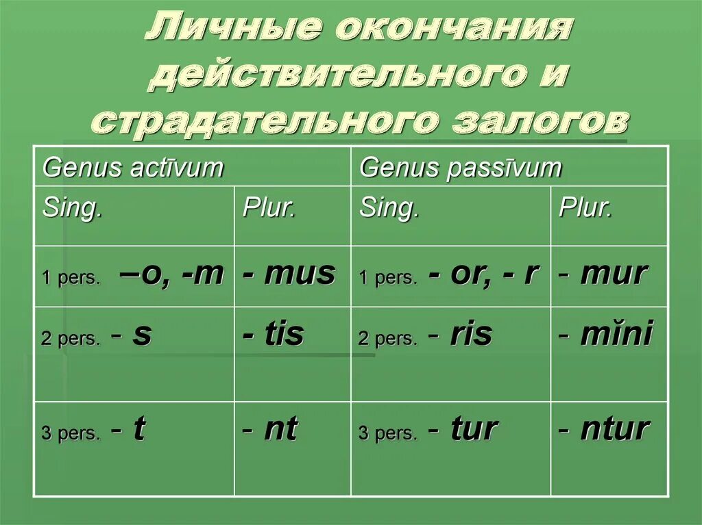 Сколько минут окончания. Личные окончания. Личные окончания действительного и страдательного залога.. Личные. Окончания действительного и страдательного залога в латинском языке.