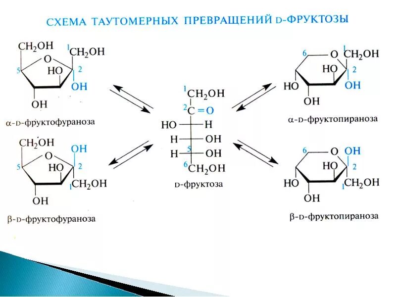 Реакция d n. Схема таутомерных превращений фруктозы. Схема таутомерных превращений d-фруктозы. Кольчато-цепная таутомерия Глюкозы и фруктозы. Цикло-оксо-таутомерия фруктозы.